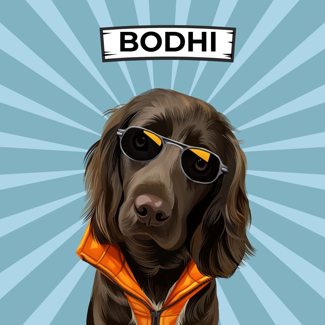 Pet Portraits Drawings done by Hand