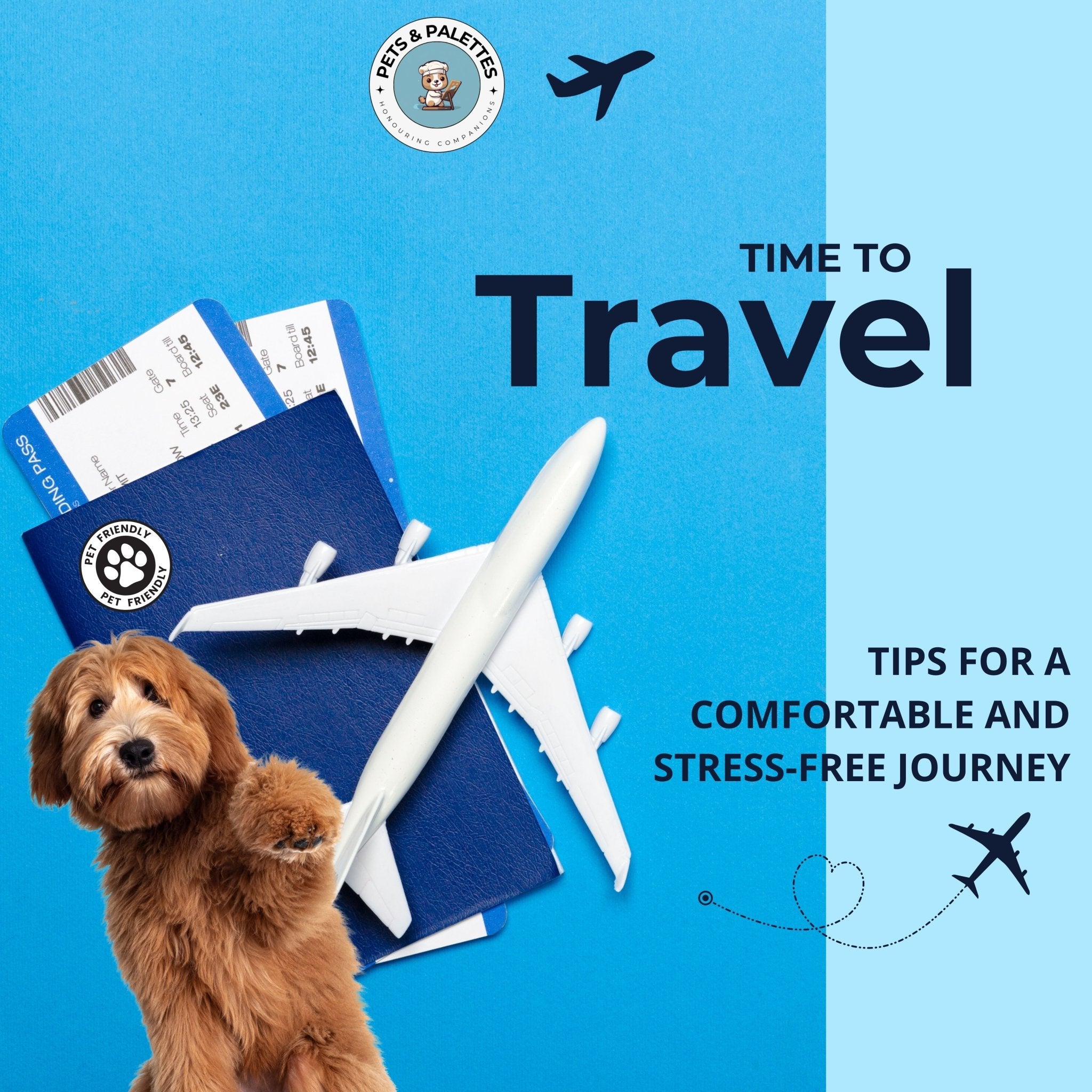 Travel Tips for a Comfortable Journey with Your Pet