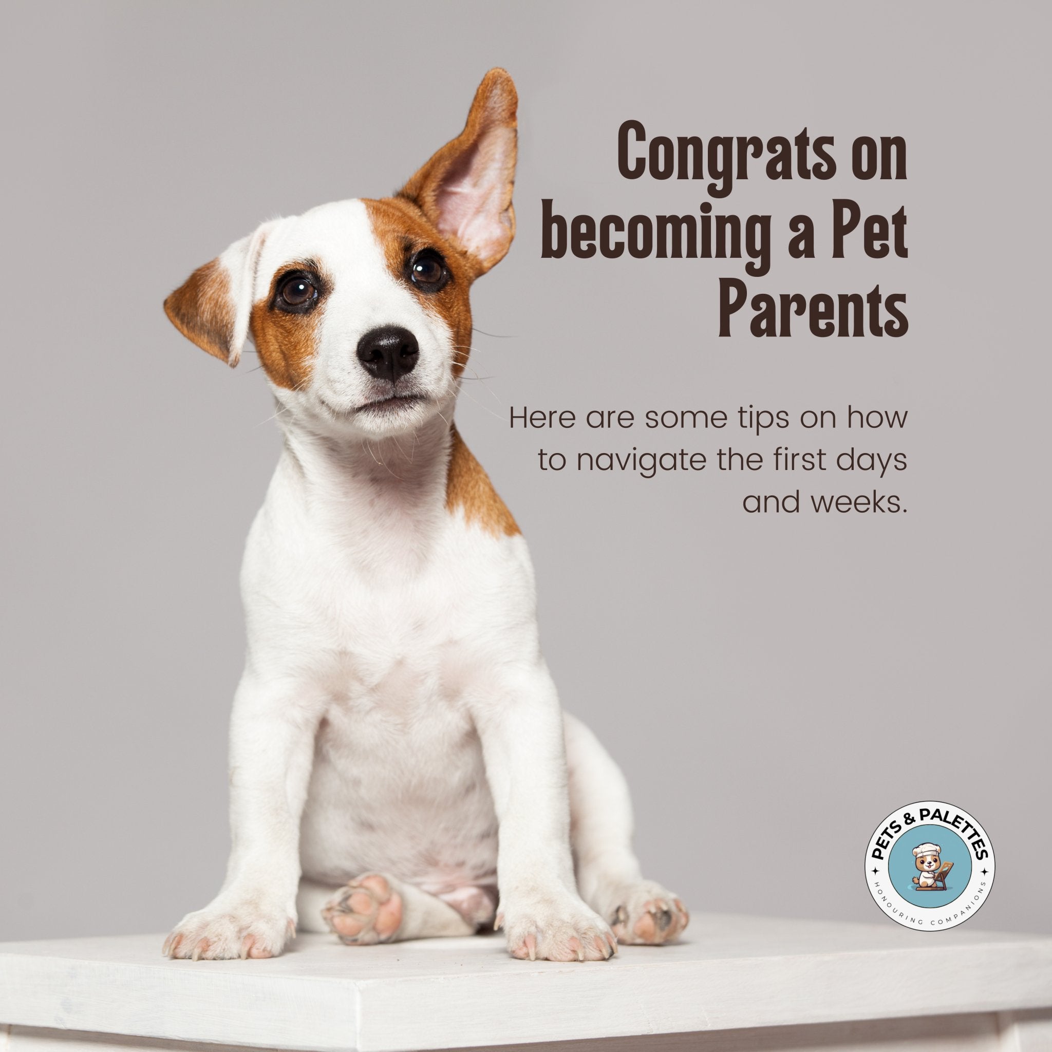 Navigating the Challenges of New Puppy Parenthood