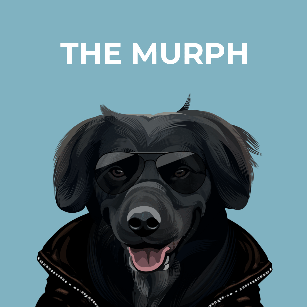 Pawditude Art Style