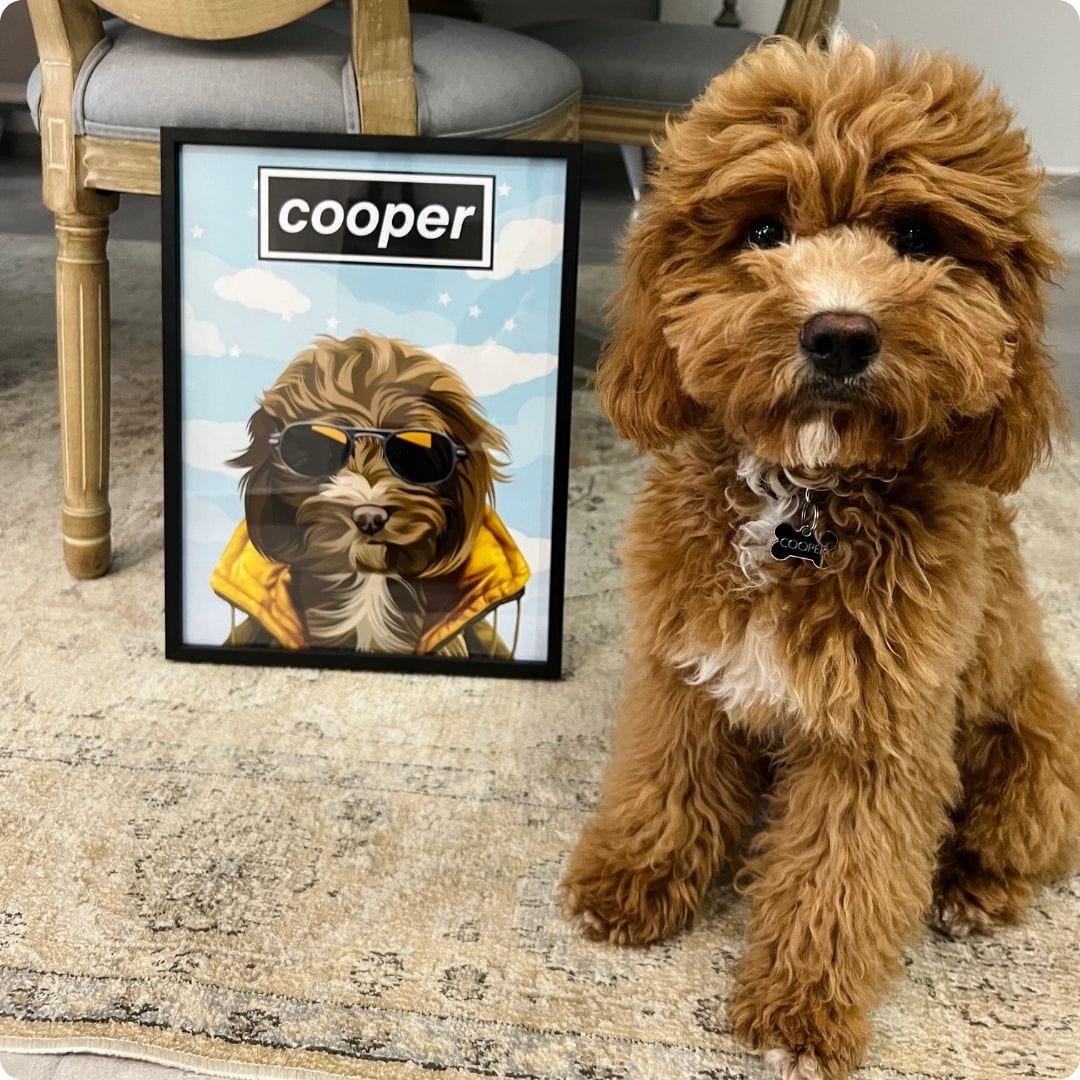 Pure Pet Portraits