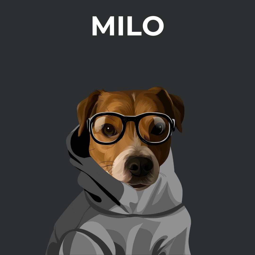 Describe & Draw Art Style