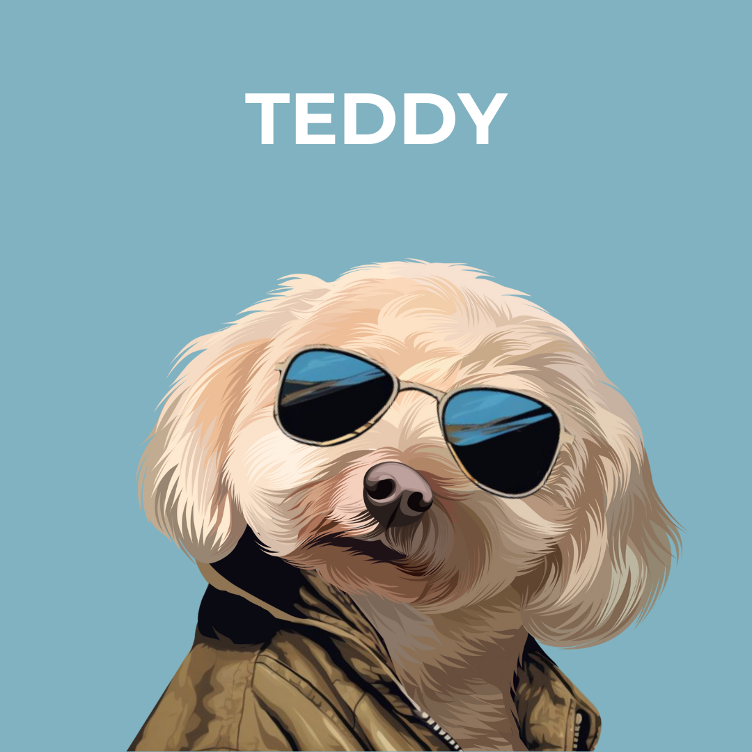 Chillest Chap Art Style