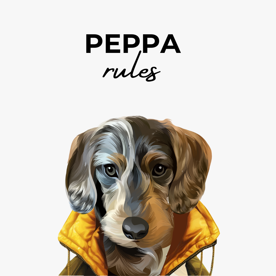 Wonderwall Art Style