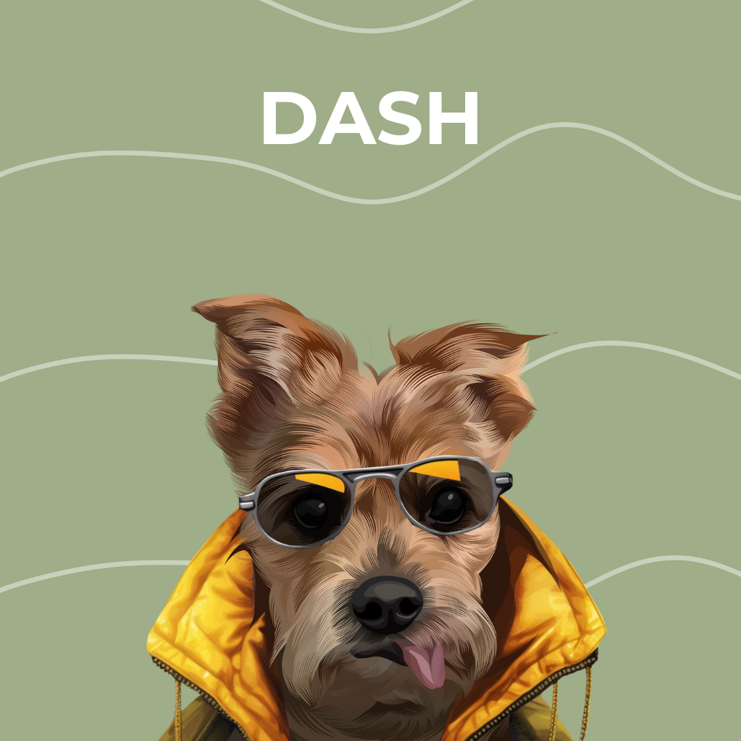 Wonderwall Art Style