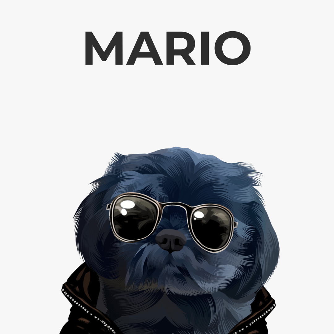 Pawditude Art Style