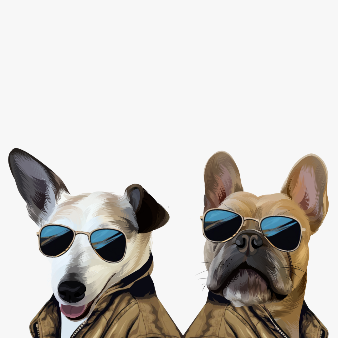 Chillest Chap Art Style