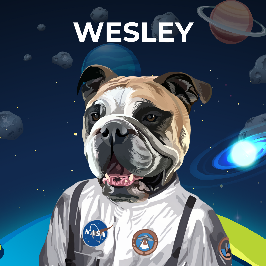 Describe & Draw Art Style