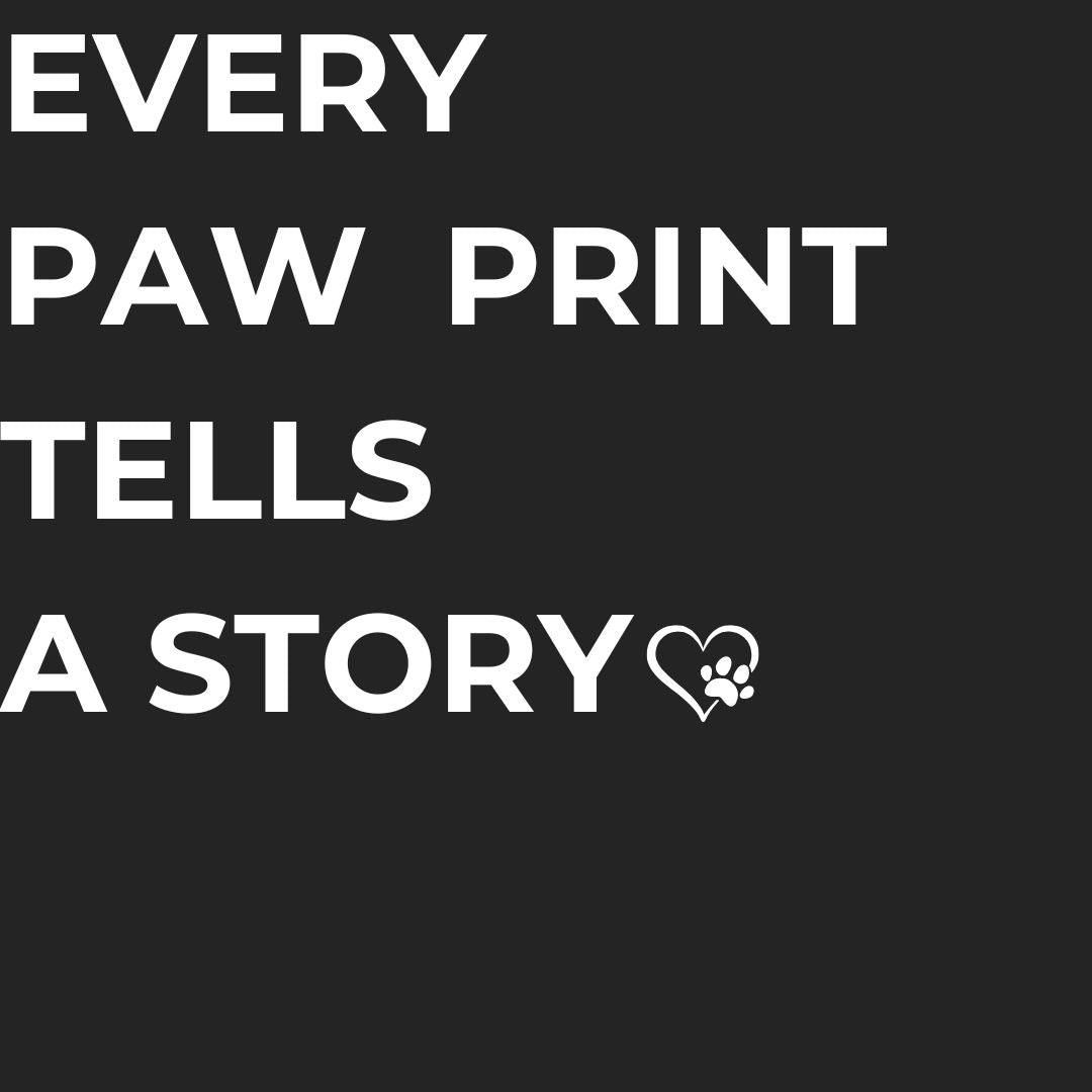 Every paw print tells a story