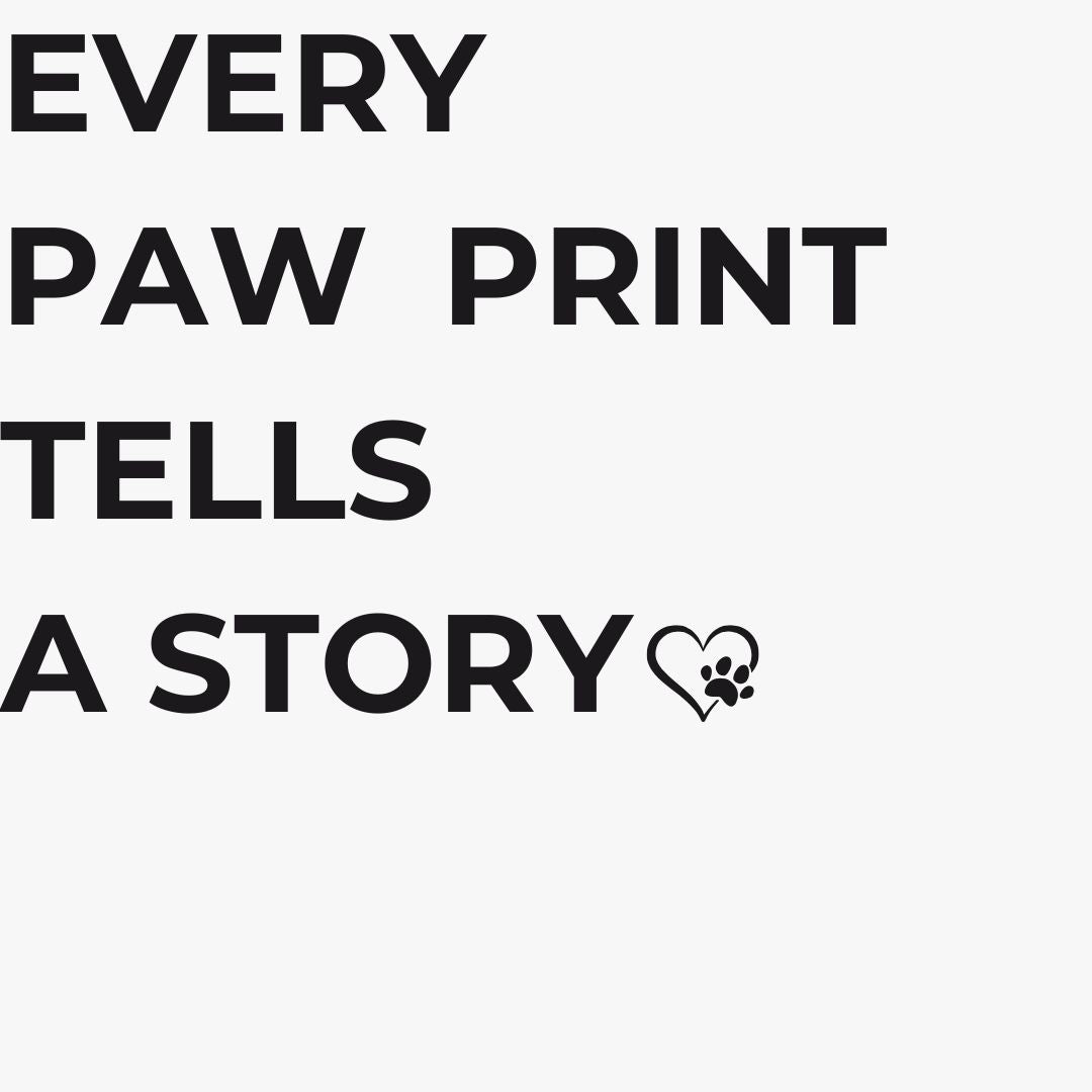Every paw print tells a story