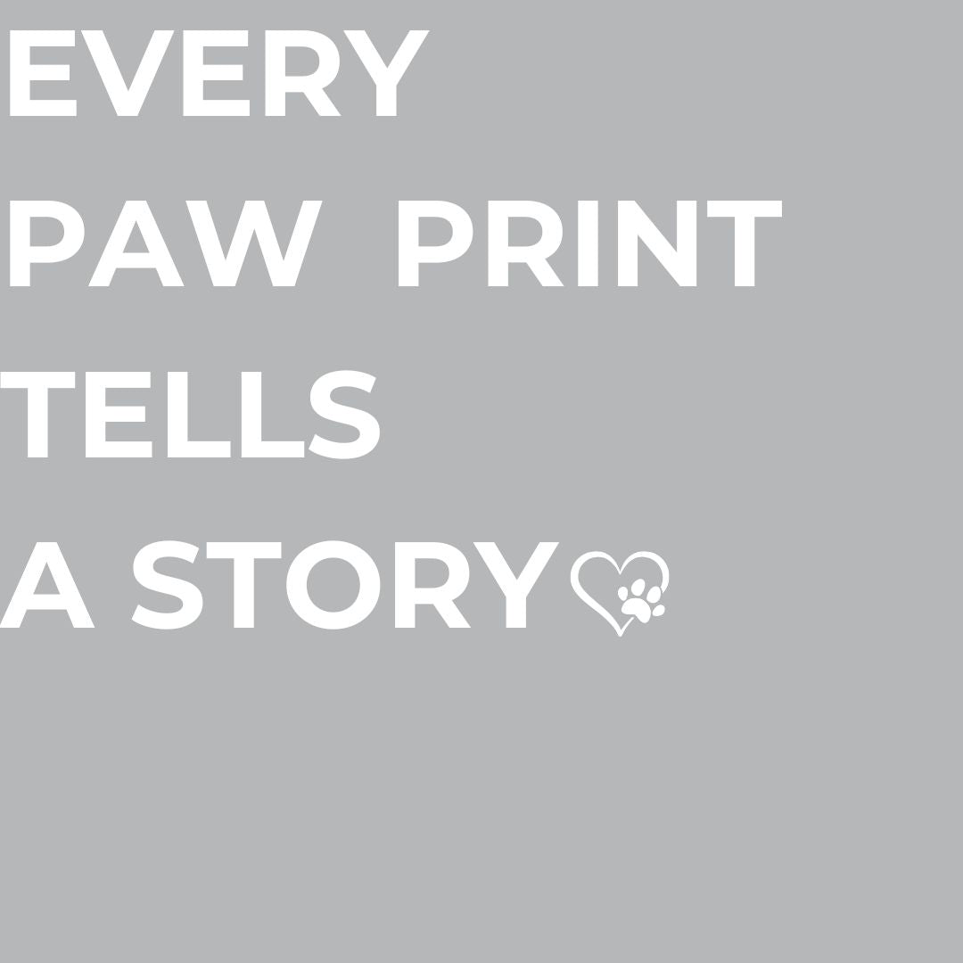 Every paw print tells a story